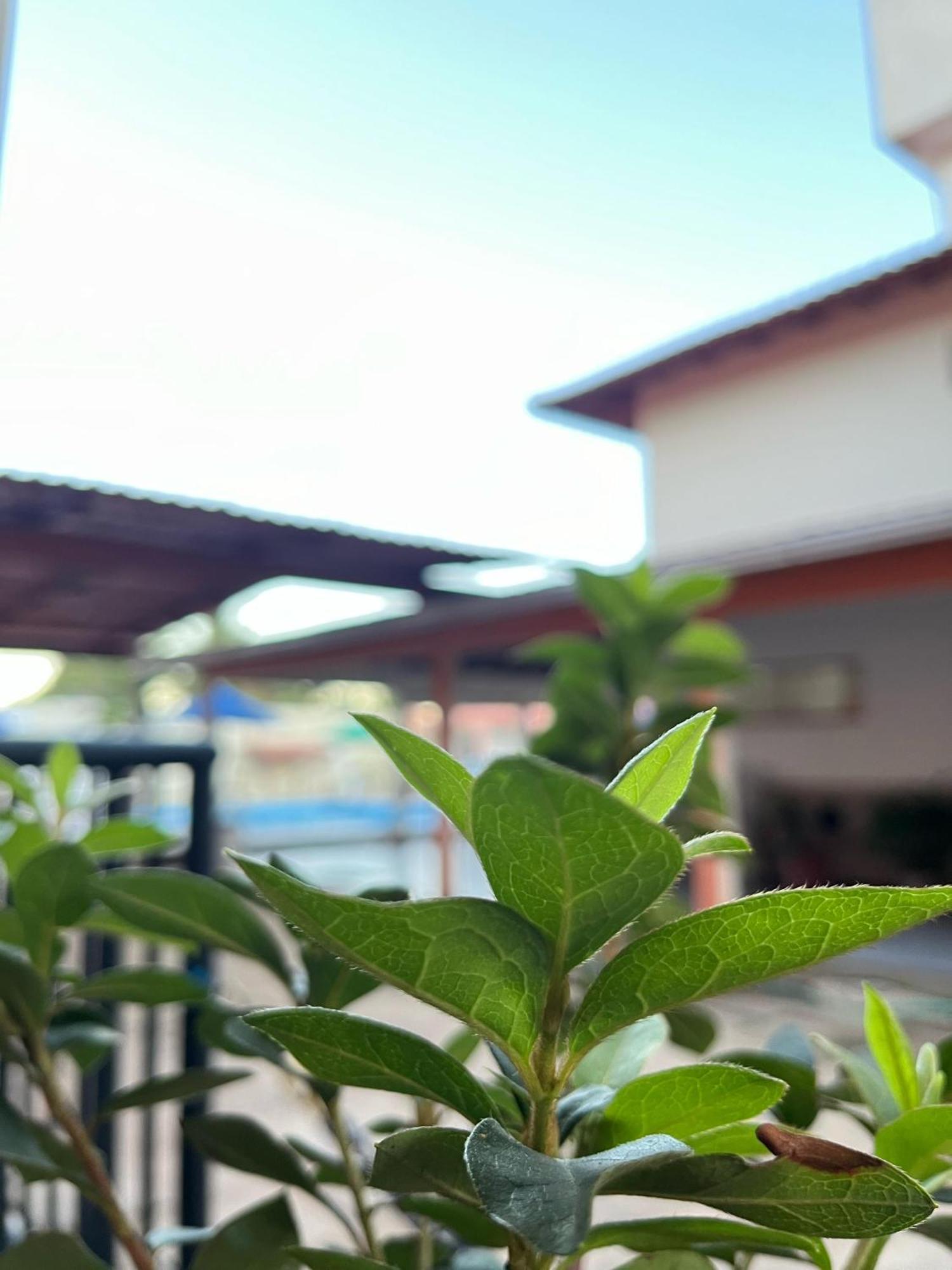 Pousada Lorenise São Mateus Esterno foto